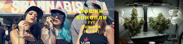 мескалин Богородицк