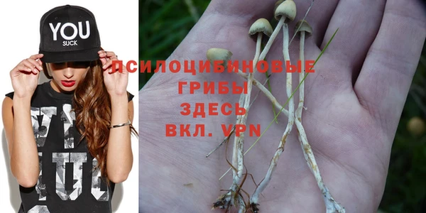 MDMA Богородск
